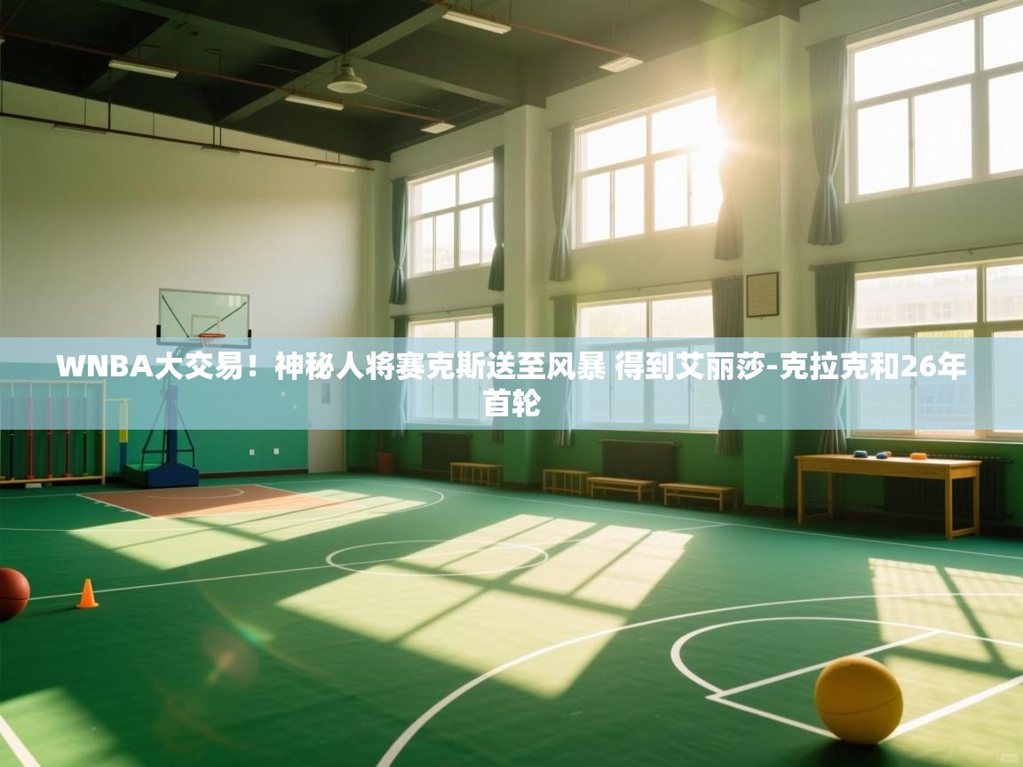 海星体育官网-WNBA大交易!神秘人将赛克斯送至风暴 得到艾丽莎-克拉克和26年首轮 第1张