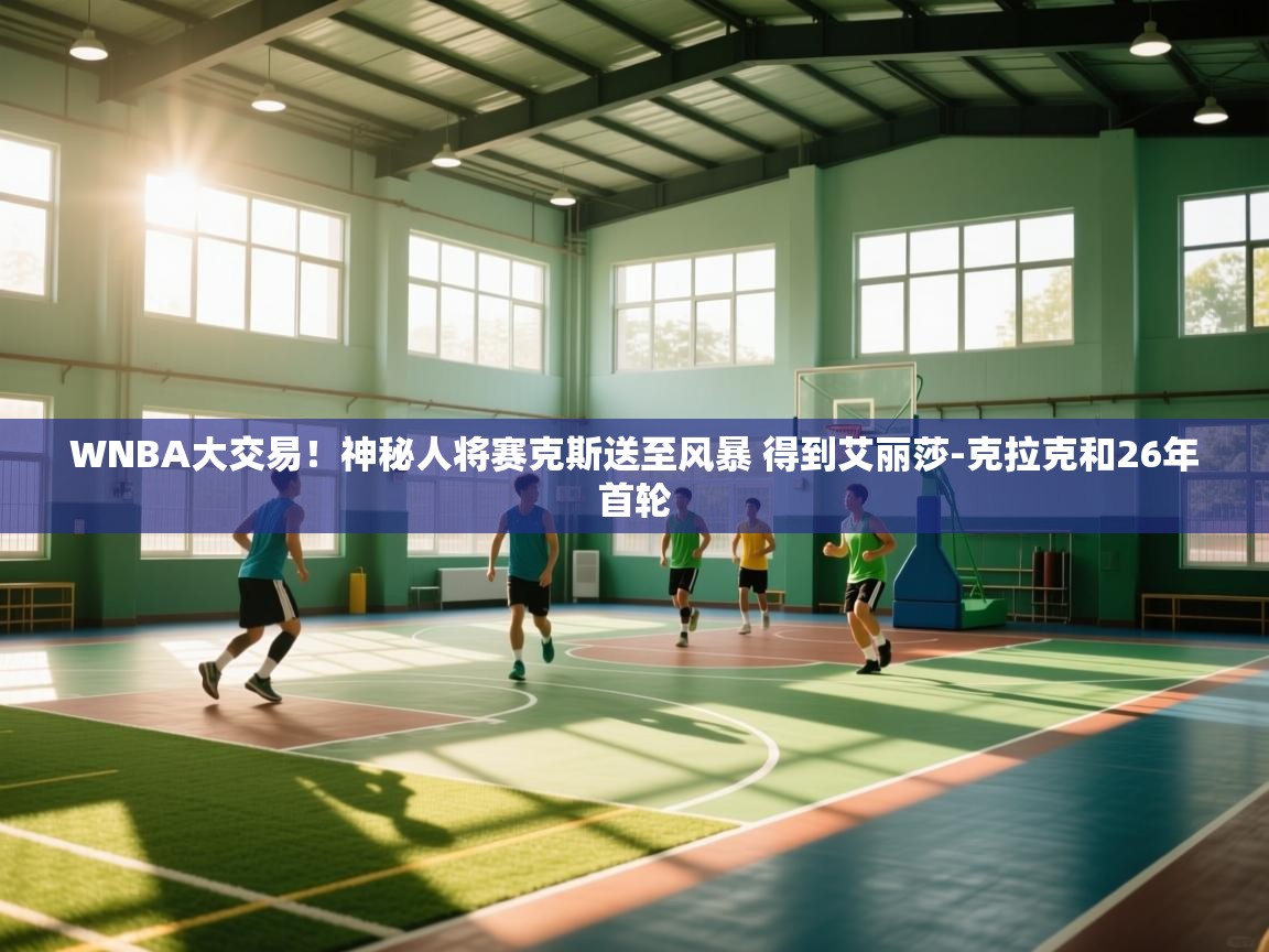 海星体育官网-WNBA大交易!神秘人将赛克斯送至风暴 得到艾丽莎-克拉克和26年首轮 第2张