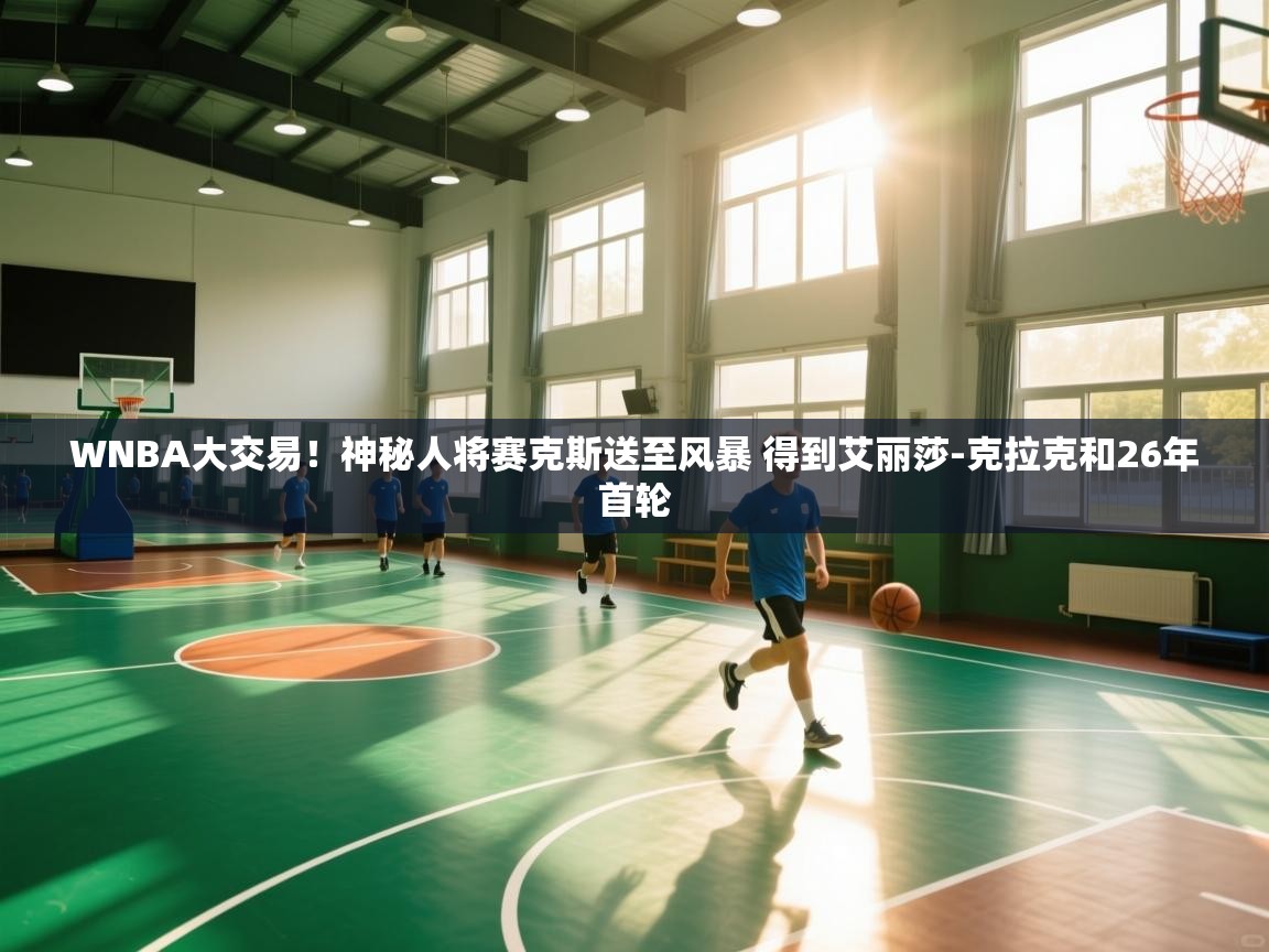 海星体育官网-WNBA大交易!神秘人将赛克斯送至风暴 得到艾丽莎-克拉克和26年首轮 第3张