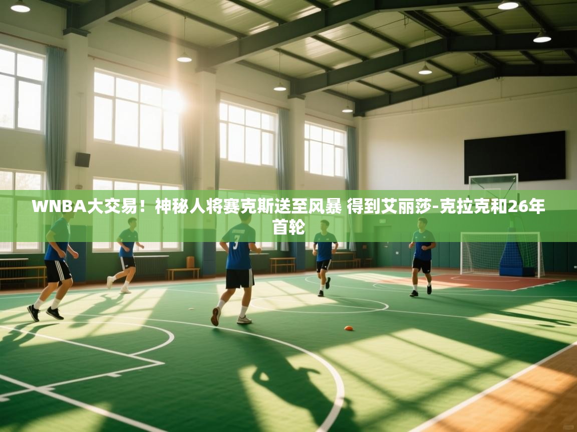 海星体育官网-WNBA大交易!神秘人将赛克斯送至风暴 得到艾丽莎-克拉克和26年首轮 第4张