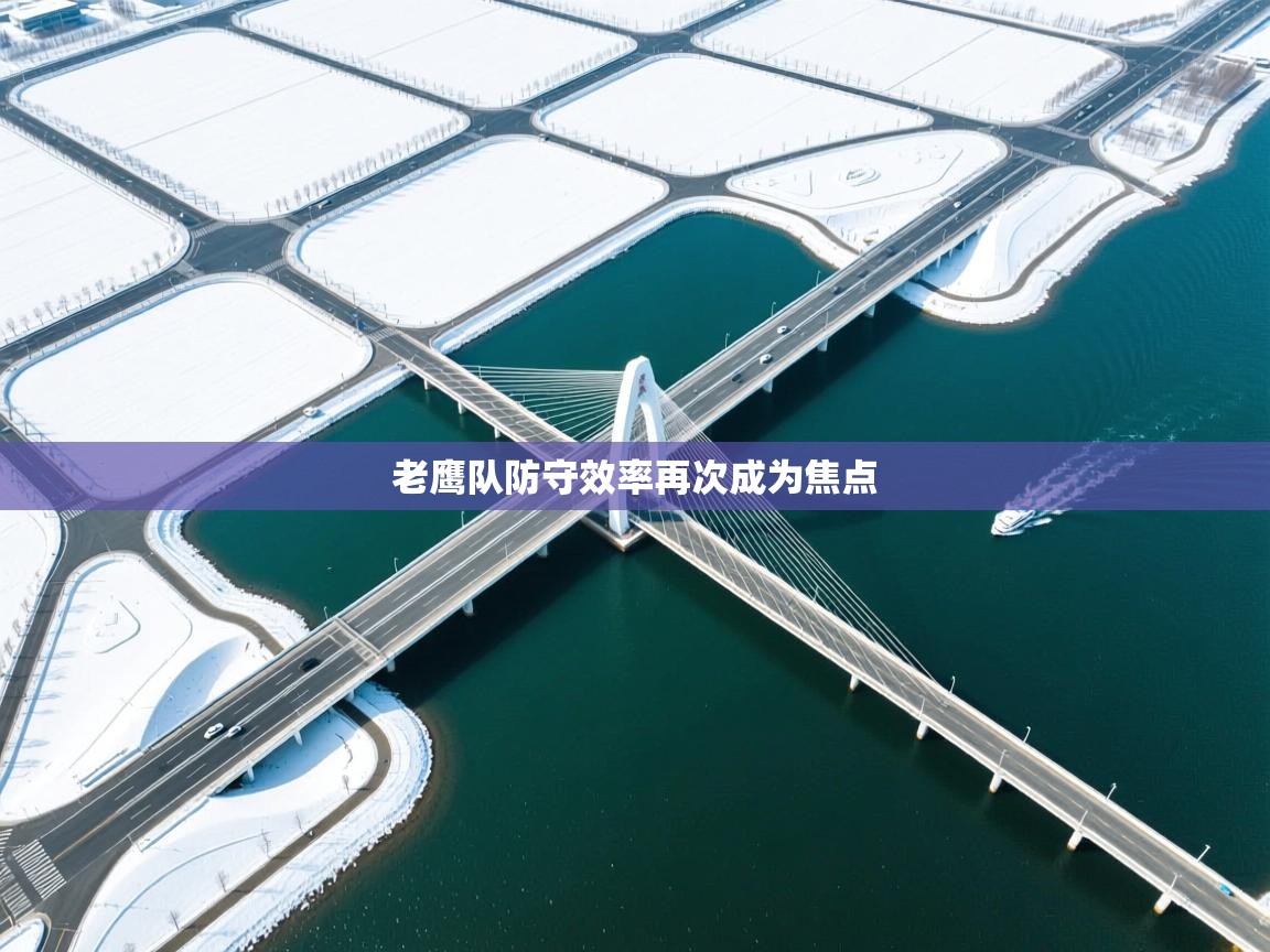 海星体育官网首页-老鹰队防守效率再次成为焦点