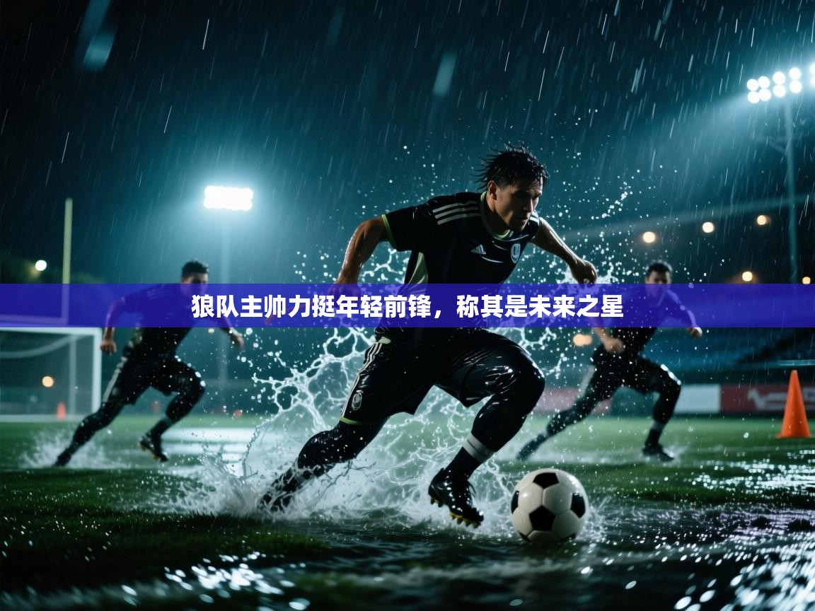 海星体育haixingtv-狼队主帅力挺年轻前锋，称其是未来之星